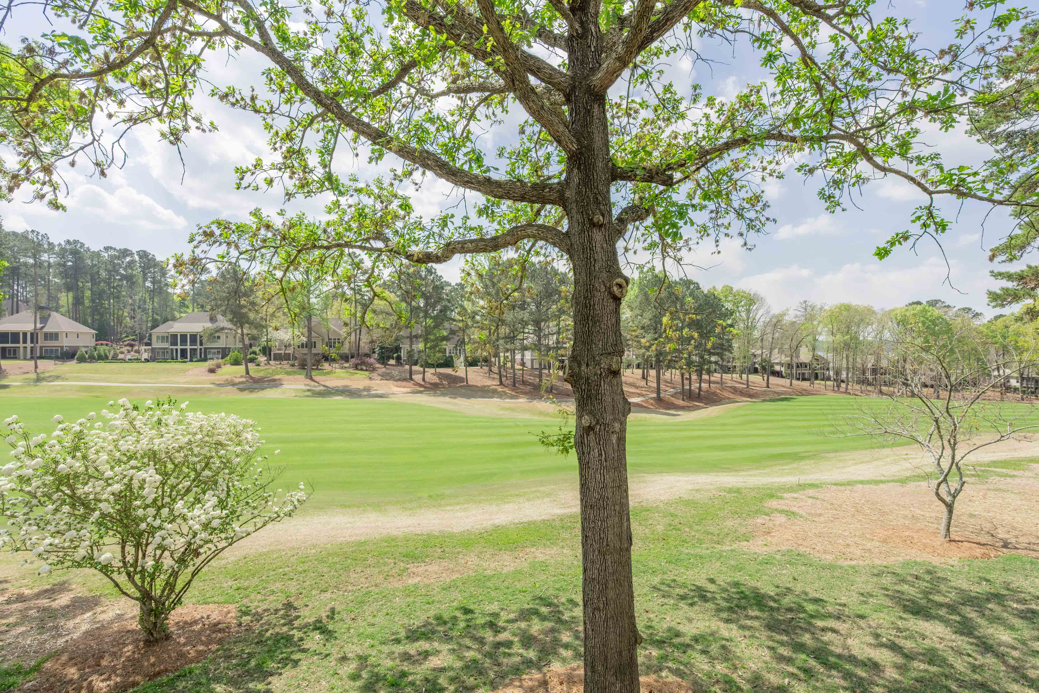 1021 Ridge Terrace image 16